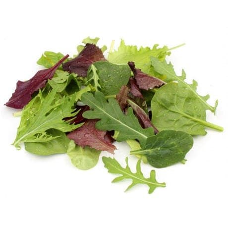 Pousse Mesclun