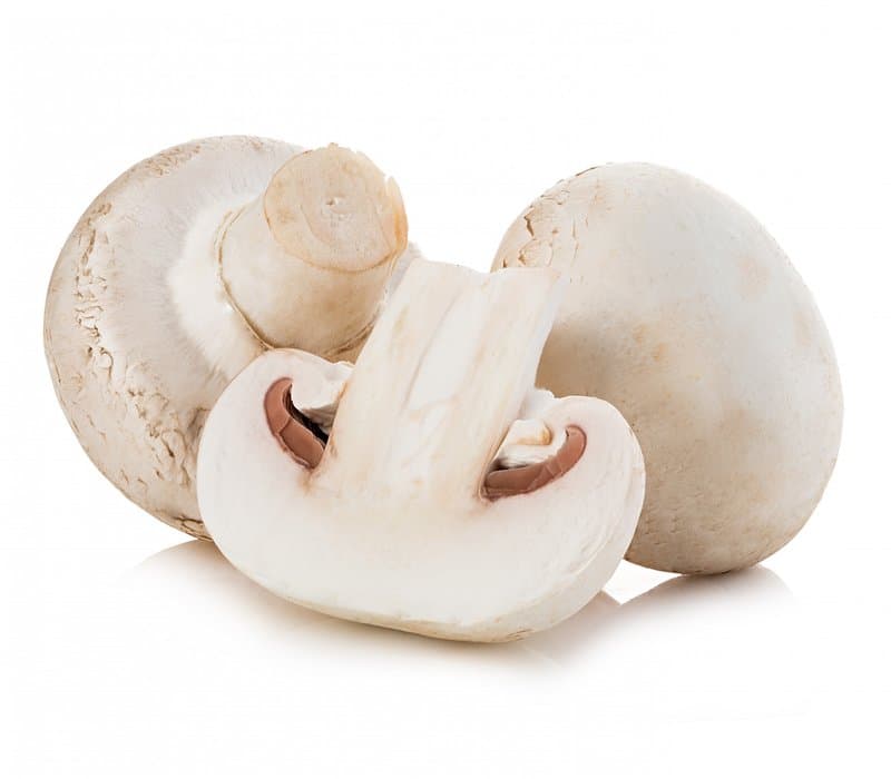 Champignon blanc